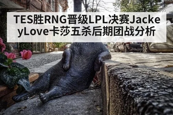 TES胜RNG晋级LPL决赛JackeyLove卡莎五杀后期团战分析